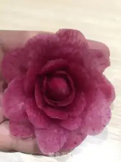 Make Radish step 21