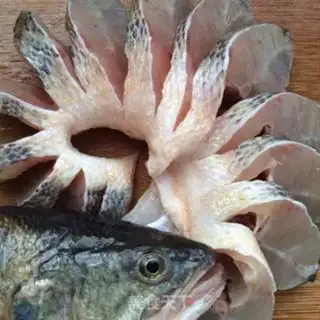 Make Peacock bass step 1