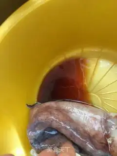 Make Roasted squid step 3