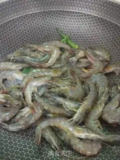 Make Mysid shrimp step 4