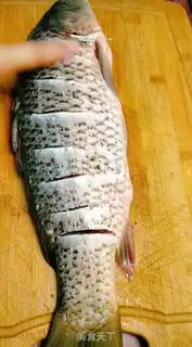 Make Carp step 0