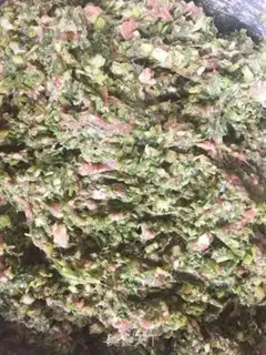 Make Beef fragrance step 5