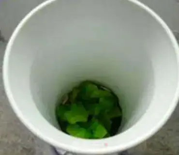 Make Bitter bean milk step 5