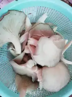 Make Skinny mushroom noodles step 1