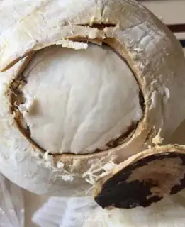 Make Coconut chicken step 5
