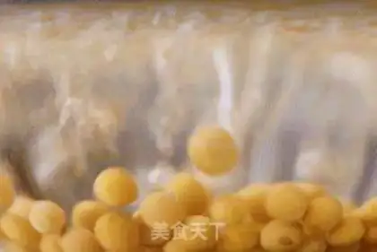 Make New Zealand juicy soybeans Soup step 1