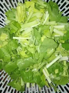 Make Celery step 2