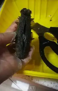 Make The sea cucumber step 3