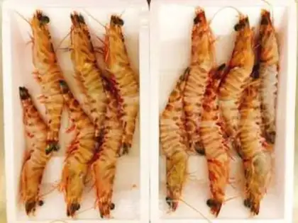 Make Red burning shrimp step 0
