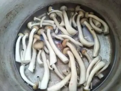 Make Crab mushrooms step 3
