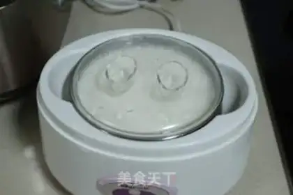 Make Homemade yogurt step 5