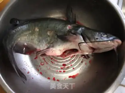 Make Squidfish step 0
