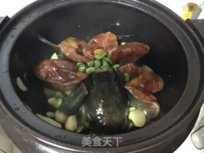 Make Squidfish step 7
