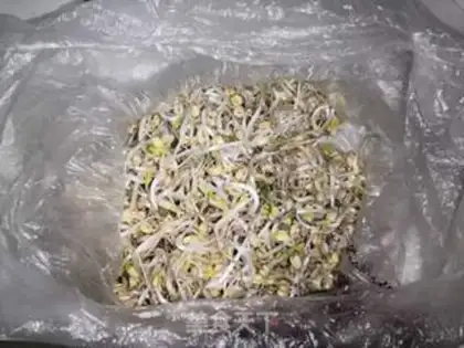 Make The green bean sprouts step 0