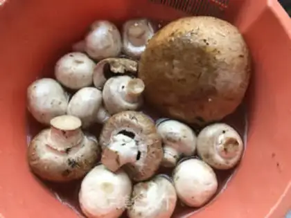 Make Mushroom shrimp step 1