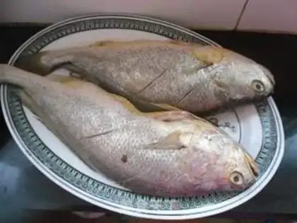 Make Homeful yellowfish step 1