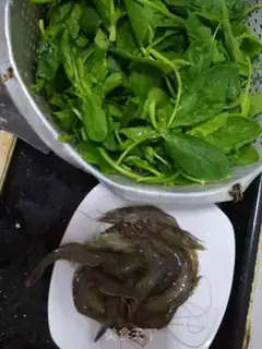 Make Green and green step 0