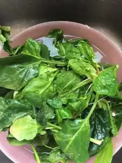 Make Gold-cracking mushroom spinach with sea cucumber step 2