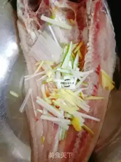 Make Clear the dragonfish step 0