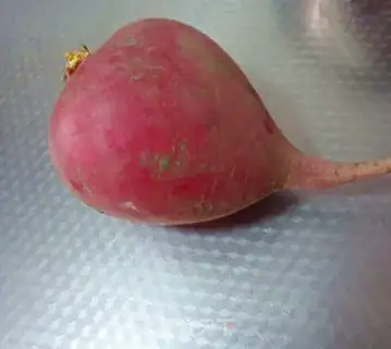 Make Friedball step 0