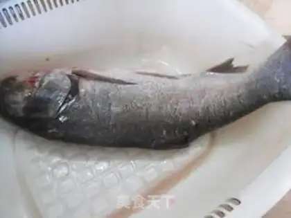 Make Squidfish step 0