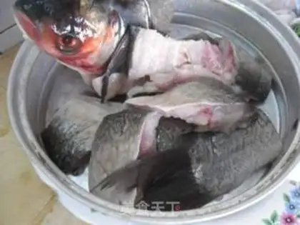 Make Squidfish step 1