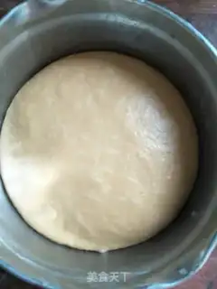 Make Minimoy step 3