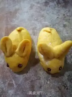 Make Rabbit step 7