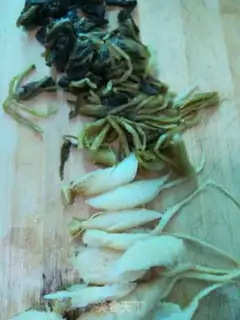 Make Carrot sprouts for rabbit step 3