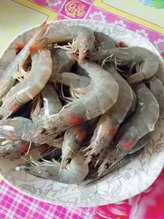 Make Shrimp step 0