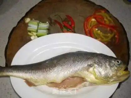 Make Big yellow fish step 0