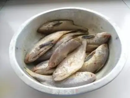 Make Fried yellowfish step 4