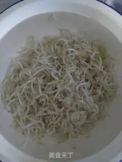 Make Sodium sprouts step 3
