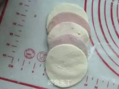 Make Chicken step 9