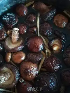 Make Purple steam step 2