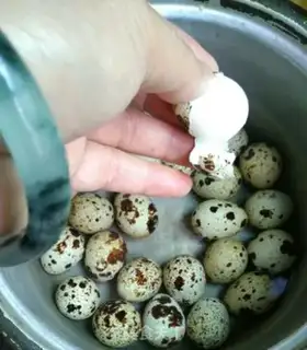 Make Polio step 1