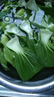 Make Soy sauce step 0