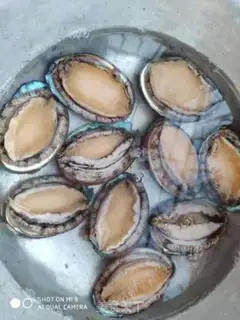Make Water the abalone step 0