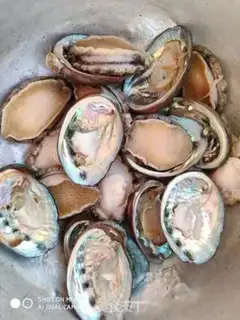 Make Water the abalone step 1