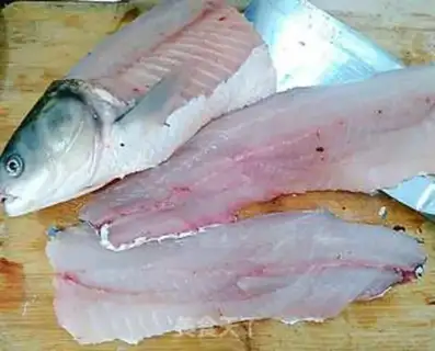 Make The fish step 1