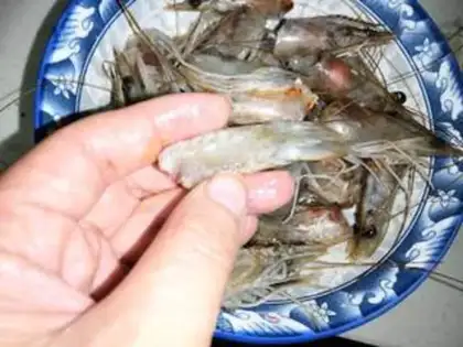 Make Homemade shrimp oil step 1