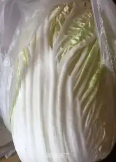 Make Spaghetti noodles step 7