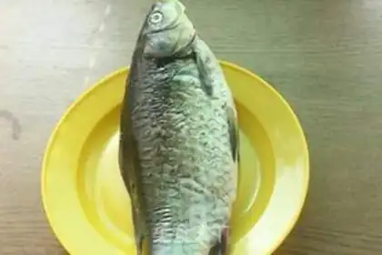 Make Red-burned mackerel step 0