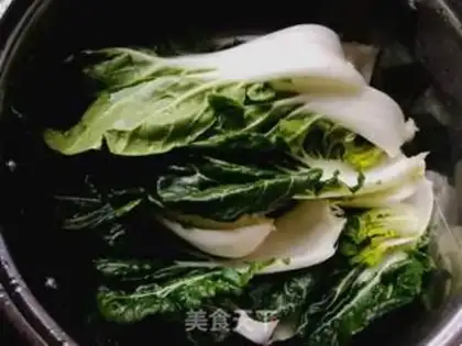 Make Pelican cabbage step 0
