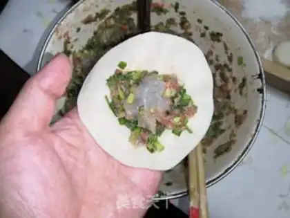 Make Meat dumplings step 17
