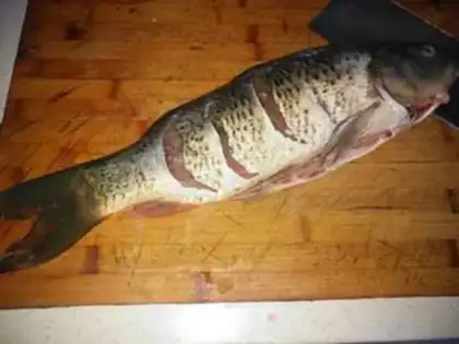 Make Carp step 0