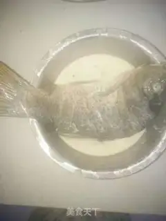 Make Carp step 1