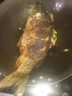 Make Carp step 7