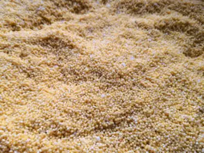 Make A home-grown sticky bean bag step 1