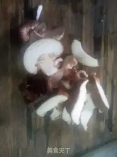 Make Spaghetti step 0